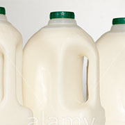 Milk Carton